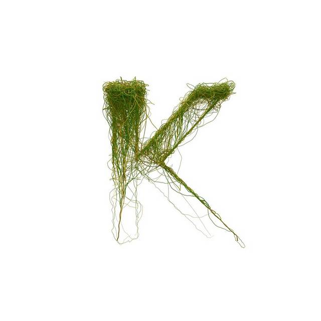 绿色字母K