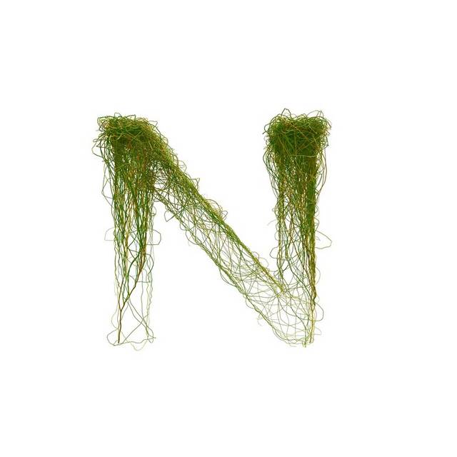 绿色字母N