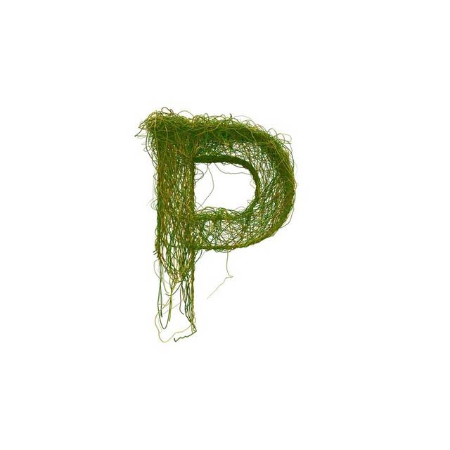 绿色字母P