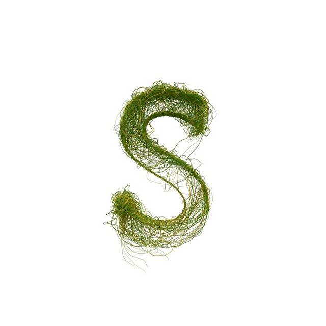 绿色字母S
