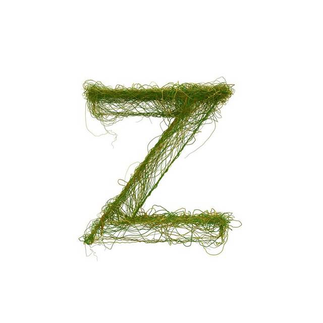 绿色字母Z