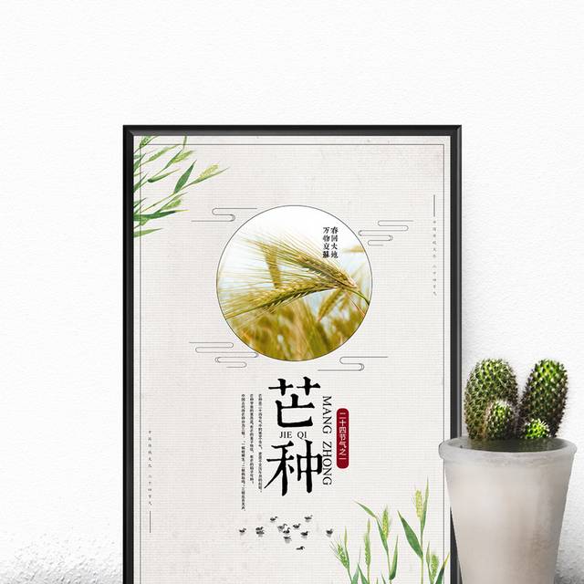 中国传统节气芒种海报