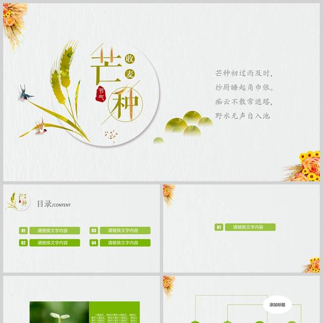 芒种教育ppt