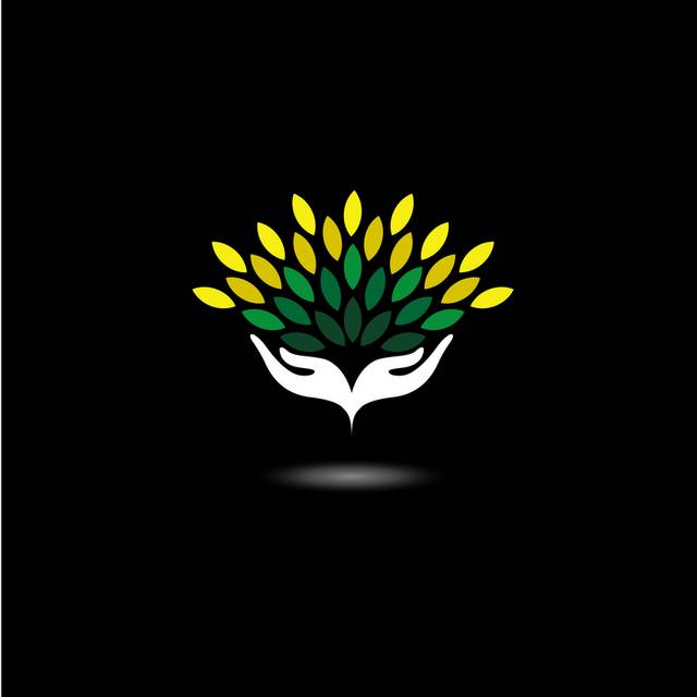 黄色花朵logo