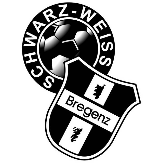 黑色标志logo