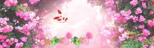 粉色花朵banner