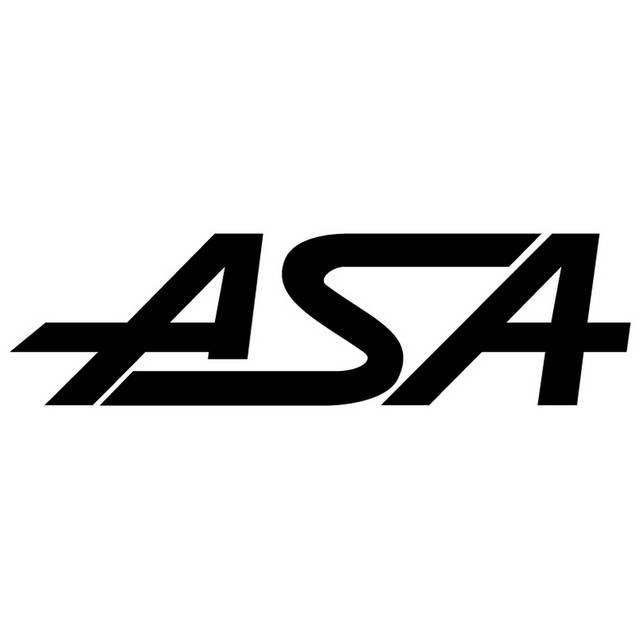 ASA艺术字logo