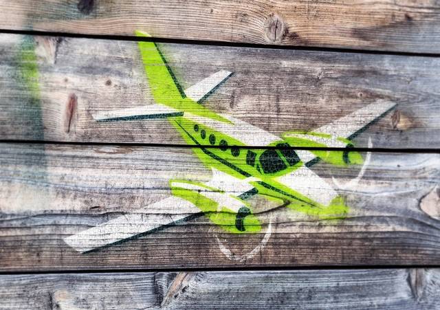 木纹绿色飞机logo样机