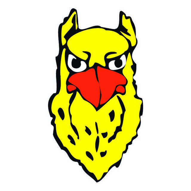 黄色飞禽logo
