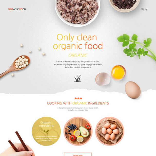 韩式健康食品网页素材