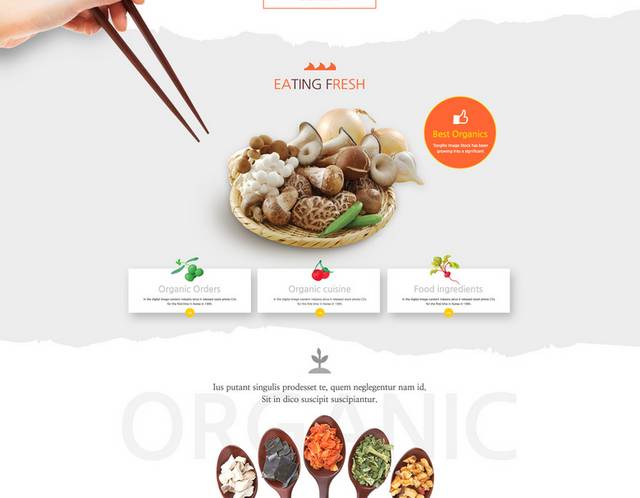 韩式健康食品网页素材