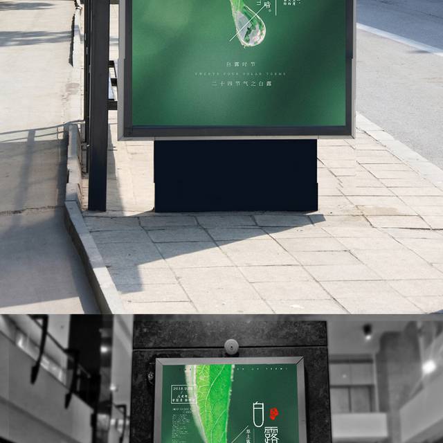 绿色唯美白露节气海报