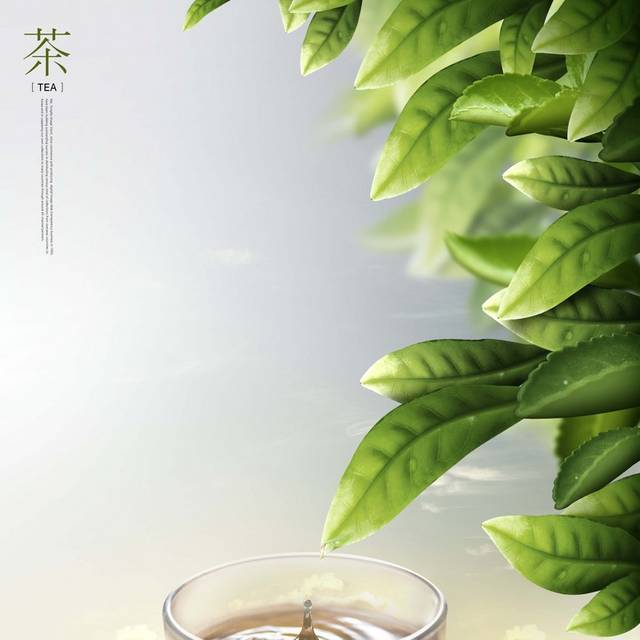 清新茶文化素材背景
