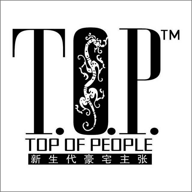 TOP地产logo素材