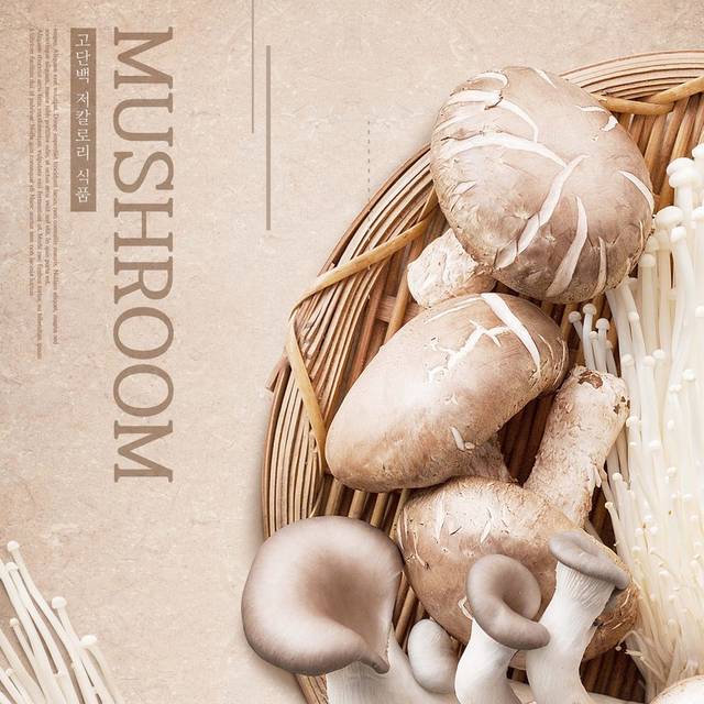 美味蘑菇海报背景