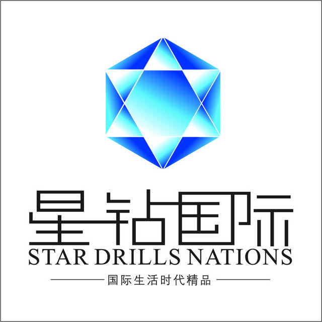 星钻国际logo标志