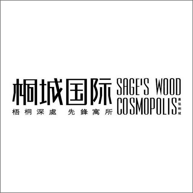 桐城国际logo标志