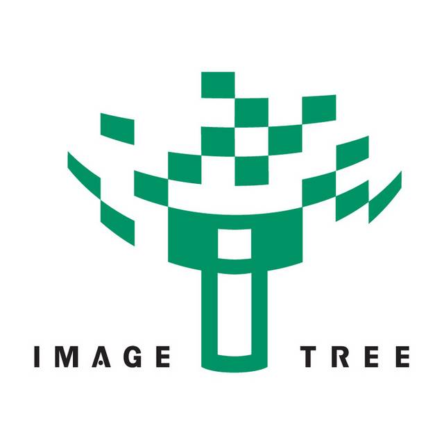 绿色创意logo矢量图