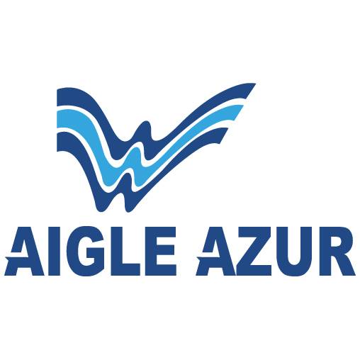蓝色字母航空组合logo