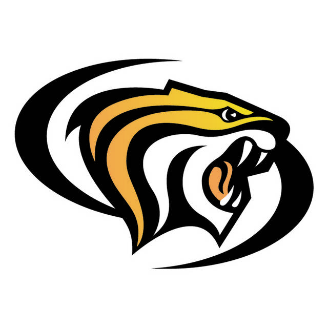 黄色老虎logo素材