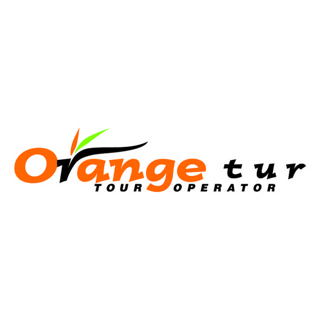 橙色英文logo创意素材