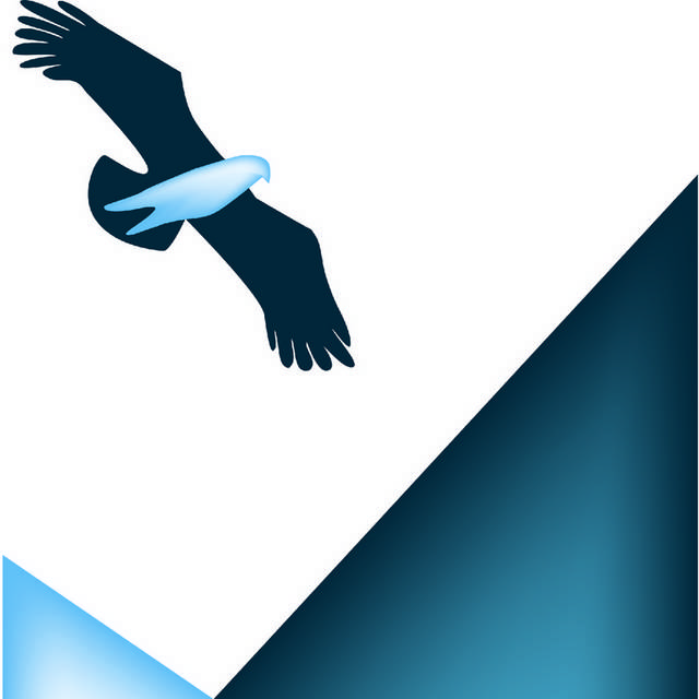 卡通老鹰标志logo