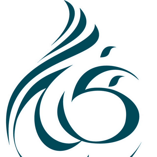 灰色花纹标志logo