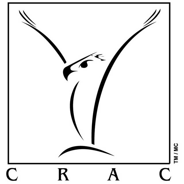 线条卡通鹰logo