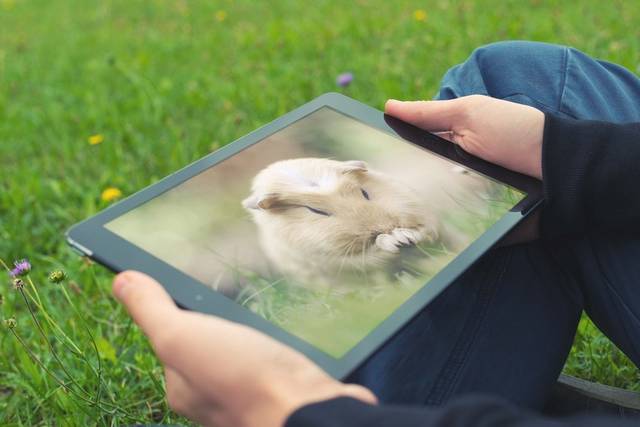 手持iPad使用场景样机