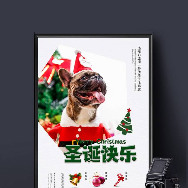 欢度圣诞节展板