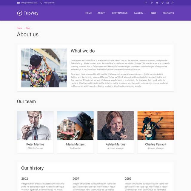 紫色背景模版网页素材