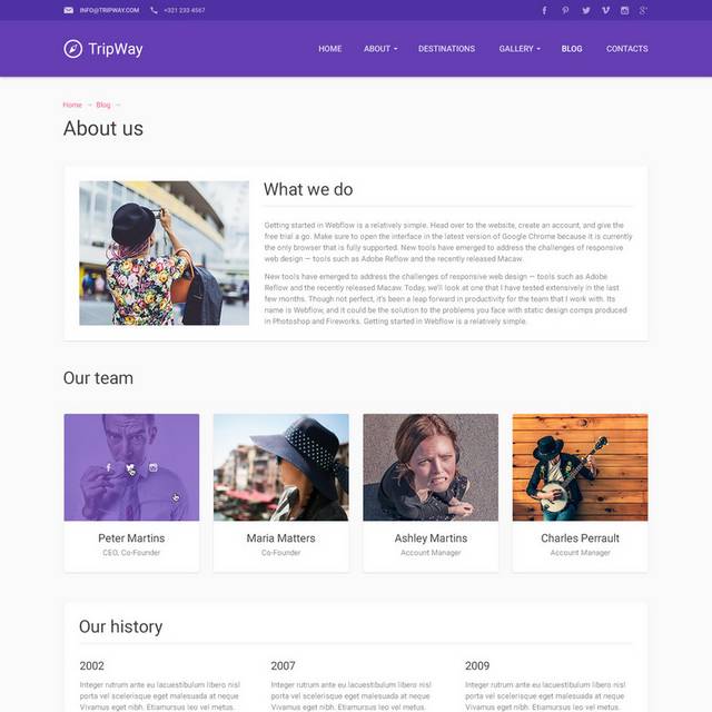 紫色模版网页素材设计