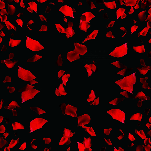 精致红花瓣