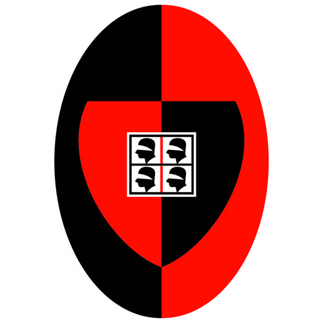 黑红椭圆图标logo