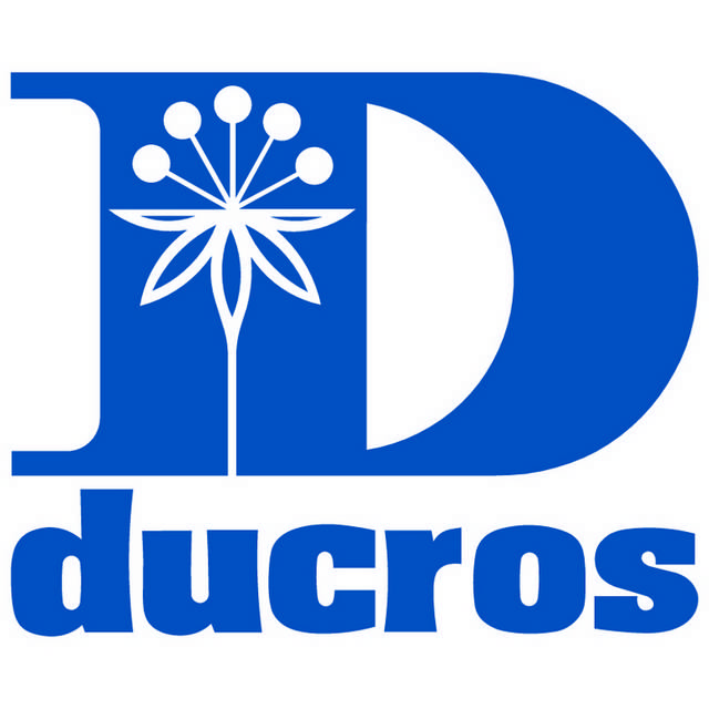 D字英文logo