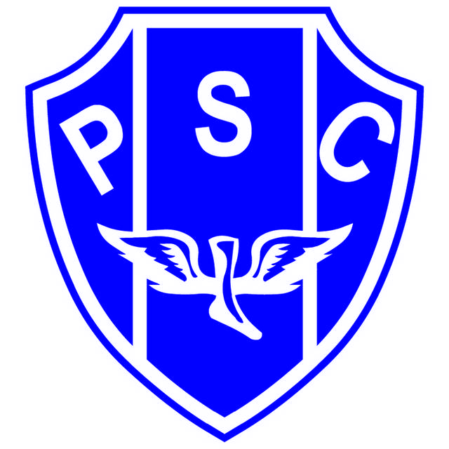 蓝色盾牌logo