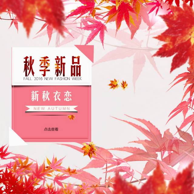 红色枫叶主图背景