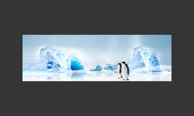 冰川企鹅电商背景