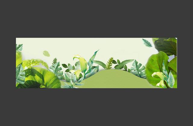 绿色植物背景banner