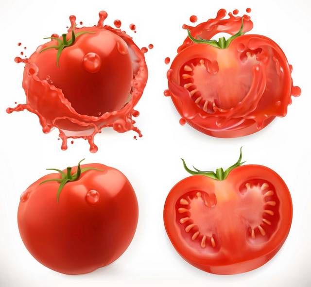 手绘西红柿水果矢量素材