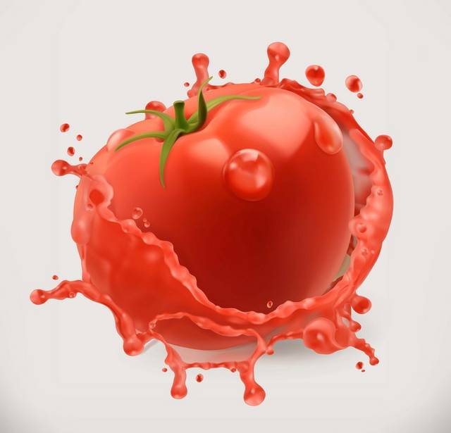 手绘西红柿水果素材