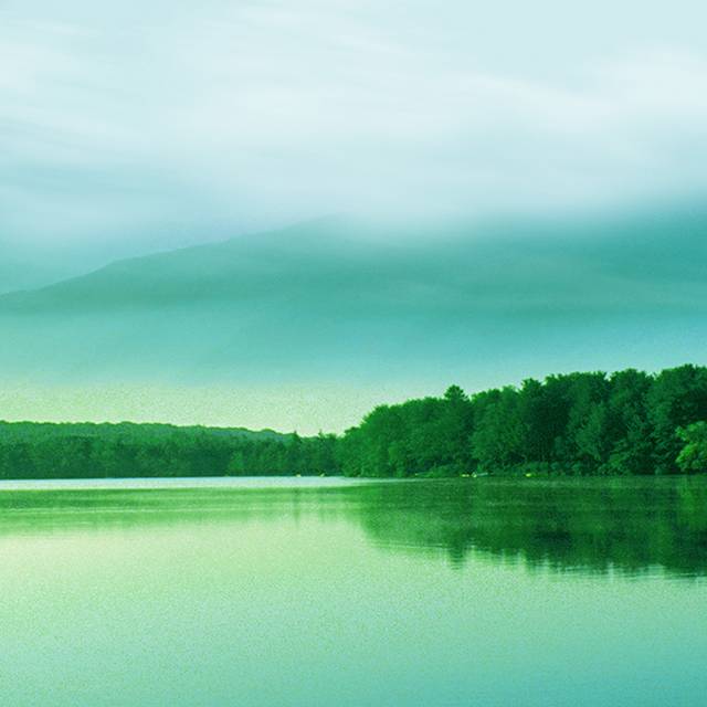 树林湖面电商主图背景