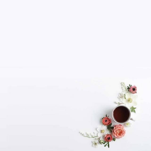 简约茶杯花朵电商主图背景