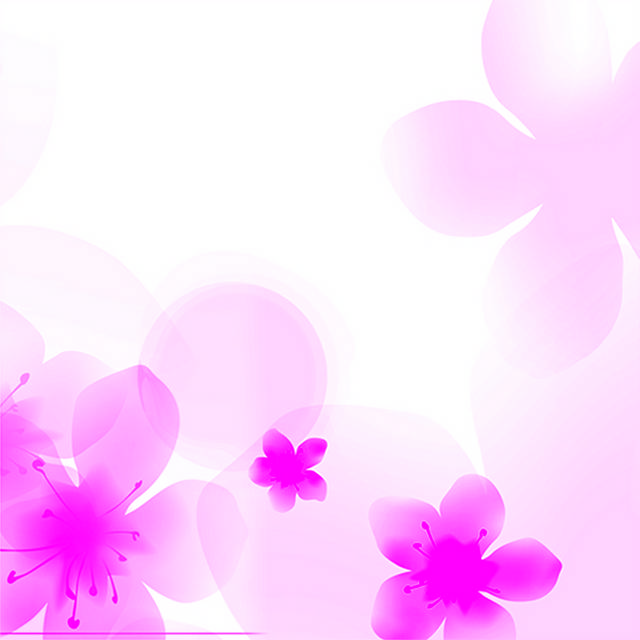 粉色花朵电商主图背景