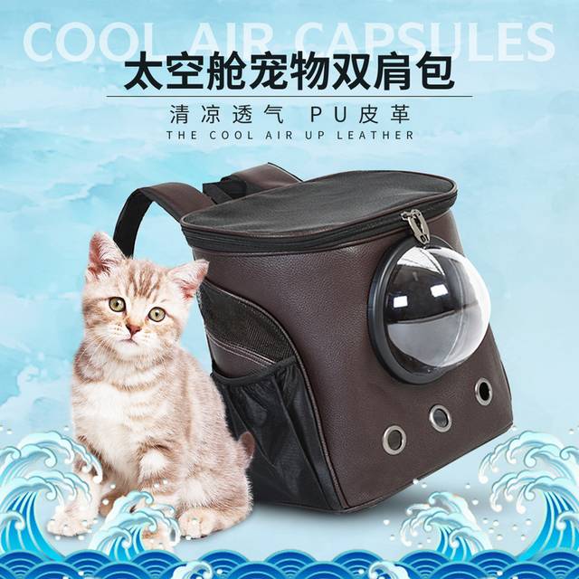 太空舱宠物双肩包电商主图素材