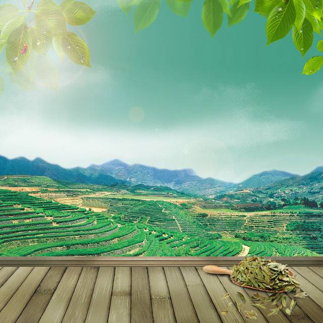自然梯田主图背景