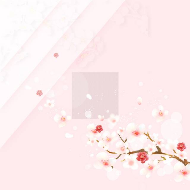 粉色花枝主图背景