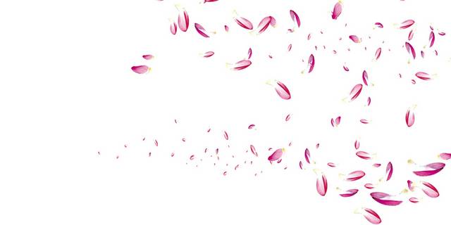 美丽粉色花瓣漂浮素材
