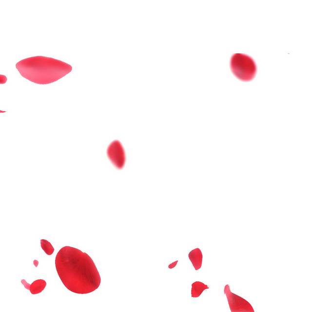 精美红色花瓣漂浮素材