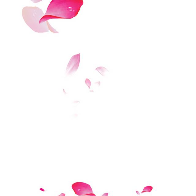 粉红色花瓣漂浮素材